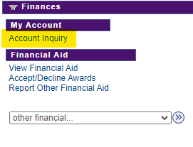 Click Account Inquiry in Finances Section