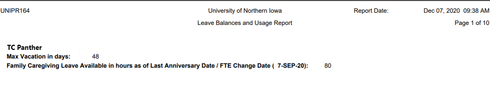 leave balance report title information
