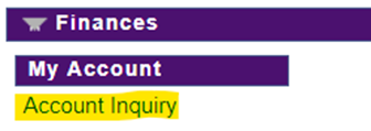 finances section highlighting account inquiry link